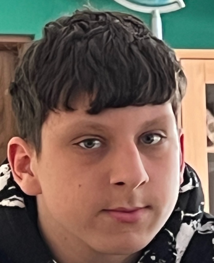 Bryk portret z bliska